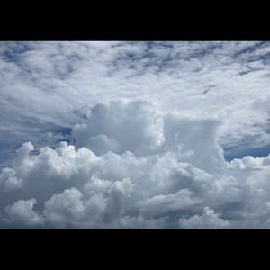 Meet your Posher, Gina